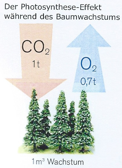 Der CO2 Kreislauf